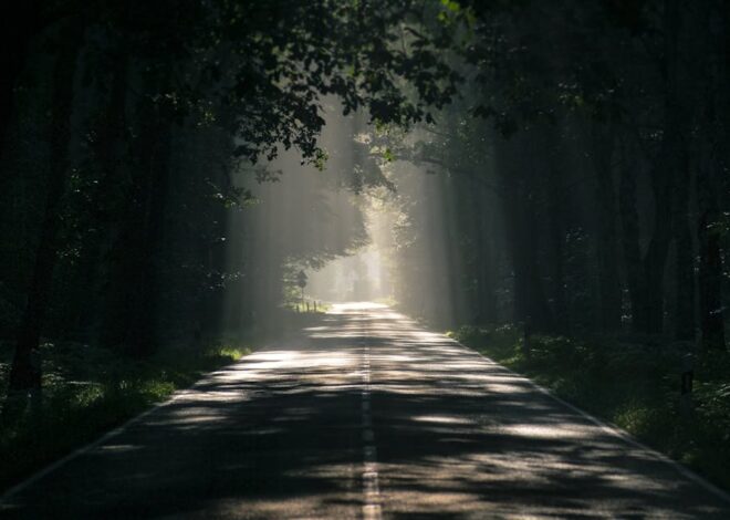 Best Mystic Outlands Aesthetic Guide for 2026